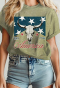 American Flag Mineral Graphic T-Shirt